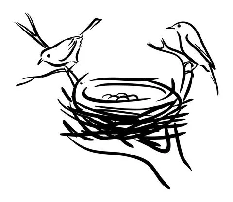 Vector of Bird and Nests on white background Stock-Illustration