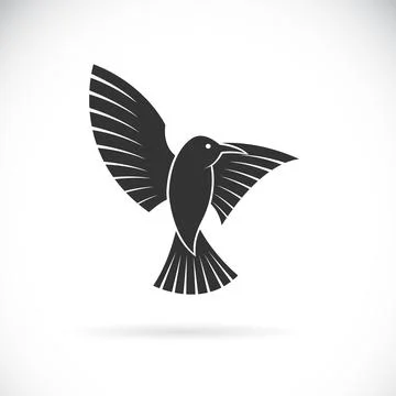 Vector of bird design on white background. Easy editable layered vector illus Stock Illustration