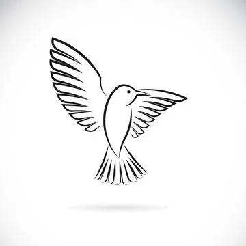 Vector of bird design on white background. Easy editable layered vector illus Stock Illustration