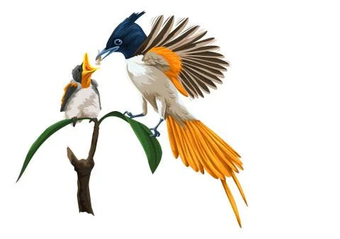 Vector of bird feeding her chick. Stock Illustration