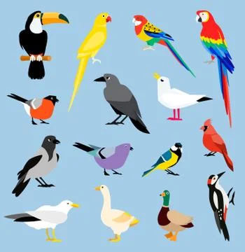 Vector bird icon collection. イラスト素材