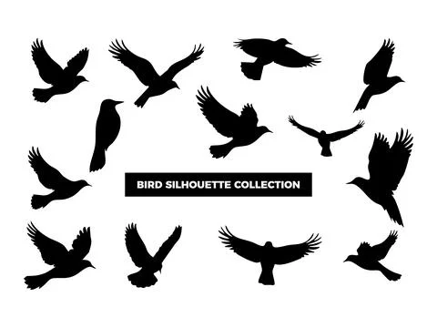 Vector Bird Silhouette Collection, Flying, Perching, and Soaring Birds for .. Illustrazione stock
