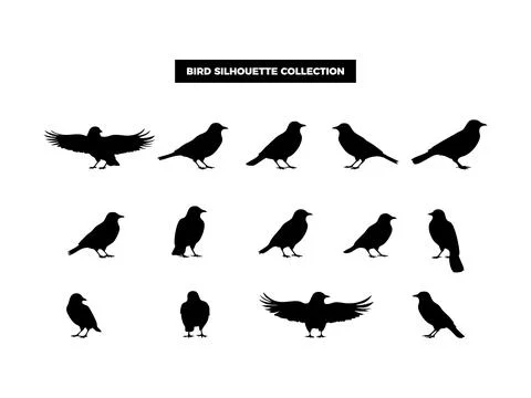 Vector Bird Silhouette Collection, Flying, Perching, and Soaring Birds for .. Illustrazione stock