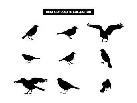 Vector Bird Silhouette Collection, Flying, Perching, and Soaring Birds for .. Illustrazione stock