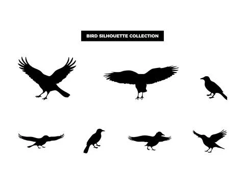 Vector Bird Silhouette Collection, Flying, Perching, and Soaring Birds for .. Illustrazione stock