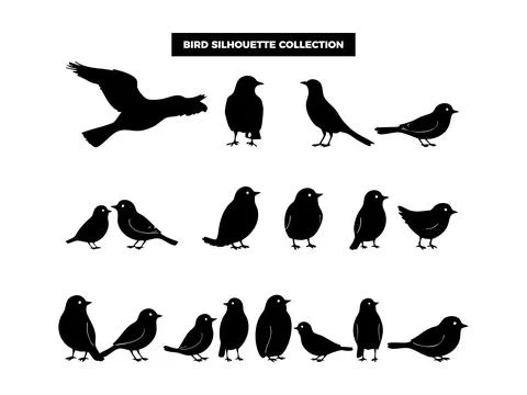 Vector Bird Silhouette Collection, Flying, Perching, and Soaring Birds for .. Illustrazione stock