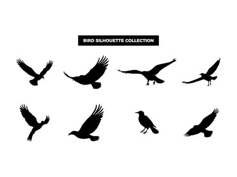 Vector Bird Silhouette Collection, Flying, Perching, and Soaring Birds for .. Illustrazione stock