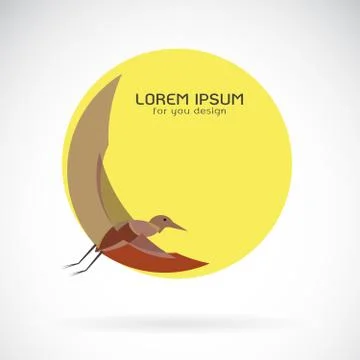 Vector of birds in a circle on white background, Wild Animals. Stock Illustration