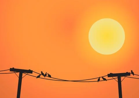 Vector : Birds on electricity post before sun set Stock Illustration