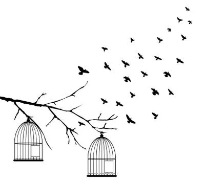 Vector Birds Stock Illustration