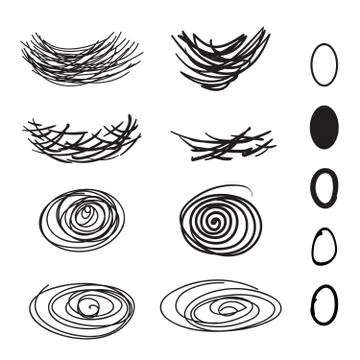 Vector of bird's nest and eggs on white background. Stock Illustration