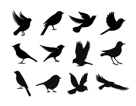 Vector birds silhouette fly sparrow icon. Animal dove bird silhouette raven Stock Illustration