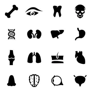Vector black anatomy icon set Stock Illustration