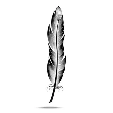 Vector black and white contour feather Stockillustratie