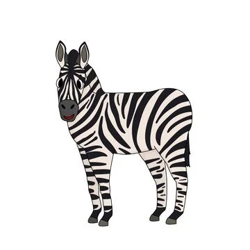 Vector Black and white cute outline cartoon zebra. Side view. Animal is smili Stock Illustration