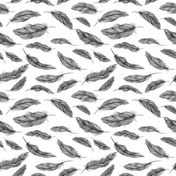 Vector Black and White Feather Pattern Illustrazione stock