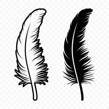 Vector Black and White Fluffy Feather Logo Icons. Silhouette Feather Set Closeup Stock Illustration