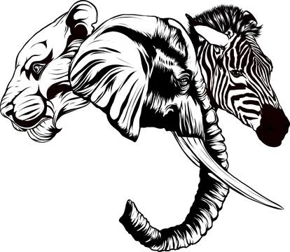 Vector black and white graphic illustration of elephant head Stock Illustration