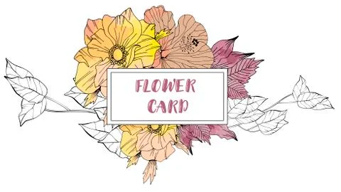 Vector black and white hand drawn herb elements Stockillustratie