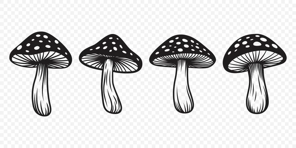Vector Black and White Hand Drawn Cartoon Mushrooms. Amanita Muscaria, Fly Illustrazione stock