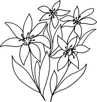 Vector black and white image of a flower in a linear style closeup. For printing Stock Illustration