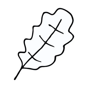 Vector black and white leaf. Simple monochrome floral print. Leaf cute on whi Illustrazione stock