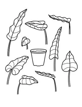 Vector black and white line illustration of houseplants. Hand Drawing sketch  Stock Illustration