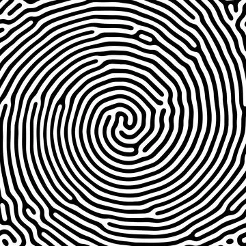 Vector black and white organic rounded lines pattern. Stock Illustration