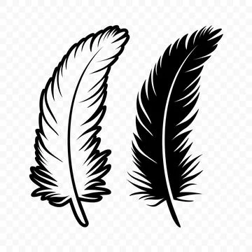 Vector Black and White Silhouette Fluffy Feather Icon. Silhouette Feather C.. Stock-Illustration