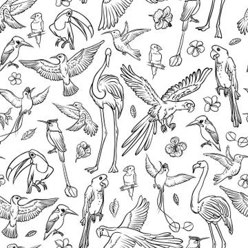 Vector black and white sketch set drawn by hand. Seamless pattern exotic Stock Illustration