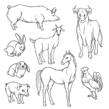 Vector black and white sketch set of isolated farm animals. Collection of Stock Illustration
