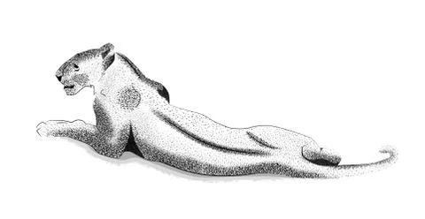 Vector black and white sketch of  lioness Stock Illustration