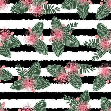 Vector black and white stripes touch me not shameplant floral bunches seamles Stock Illustration