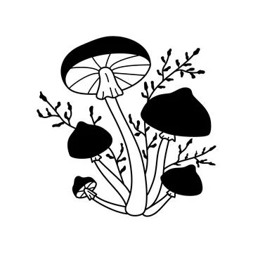 Vector black and white wild forest mushrooms on white background. Autumn bota Stock Illustration