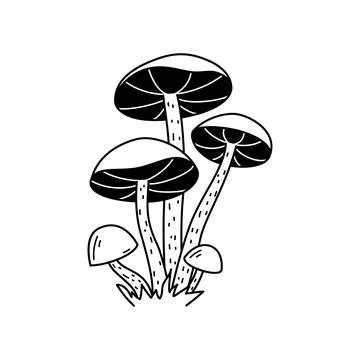 Vector black and white wild forest mushrooms on grass. Autumn botanical desig Stock Illustration