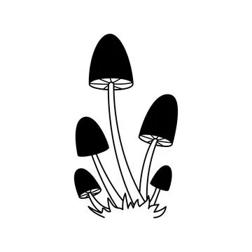 Vector black and white wild forest mushrooms on grass. Hand drawn autumn bota Stock Illustration