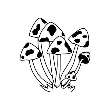 Vector black and white wild forest spotted mushrooms on grass. Doodle autumn  Stock Illustration