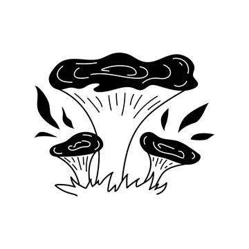 Vector black and white wild forest chanterelle mushroom on white background.  Stock Illustration