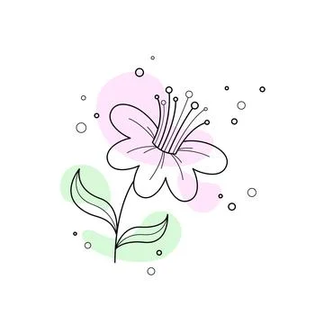 Vector black Contour of a Flower. Doodle Cherry Blossom, apple tree on white Stock Illustration
