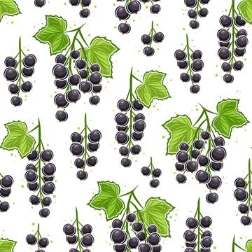 Vector Black Currant Branches seamless pattern Stock Illustration
