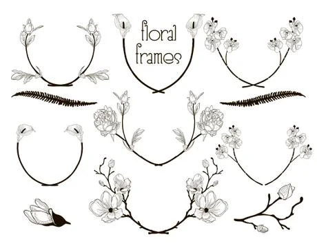 Vector Black Floral Text Frames, Branches, Laurels Illustrazione stock