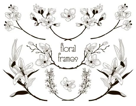 Vector Black Floral Text Frames, Branches, Laurels Stock Illustration