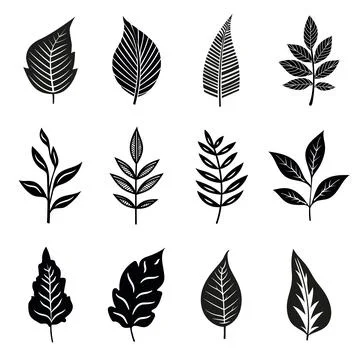 Vector black leaf, linear leaves, cut-out curt forms, silhouette. Illustrat.. Stock Illustration