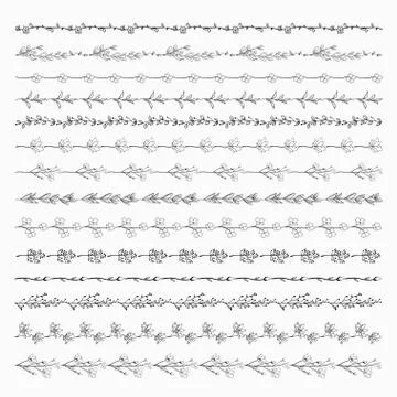 Vector Black Line Borders with Herbs, Plants and Flowers Stock Illustration