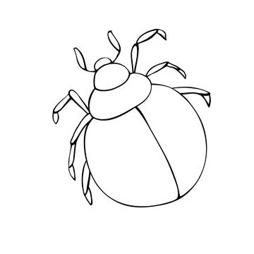 Vector black outline abstract beetle in doodle style. Contoured bug, insect,  Stock Illustration