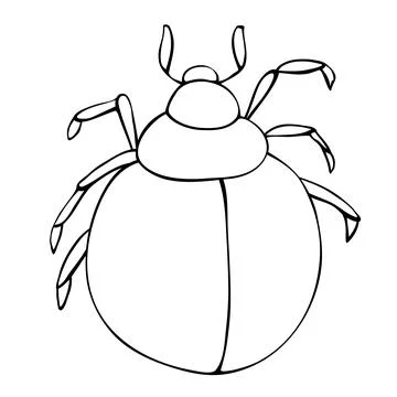 Vector black outline abstract beetle in doodle style. Contoured bug, insect,  Ilustración de archivo