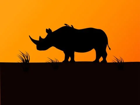 Vector black rhino silhouette background sunset Stock Illustration
