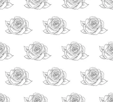 Vector Black Seamless Pattern with Drawn Flowers, Roses Stock Illustration