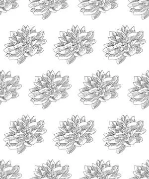 Vector Black Seamless Pattern with Drawn Flowers Stock Illustration