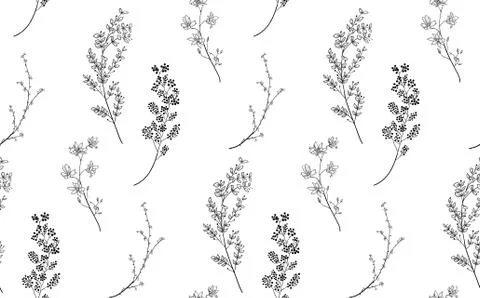 Vector Black Seamless Pattern with Drawn Branches, Plants Stock Illustration